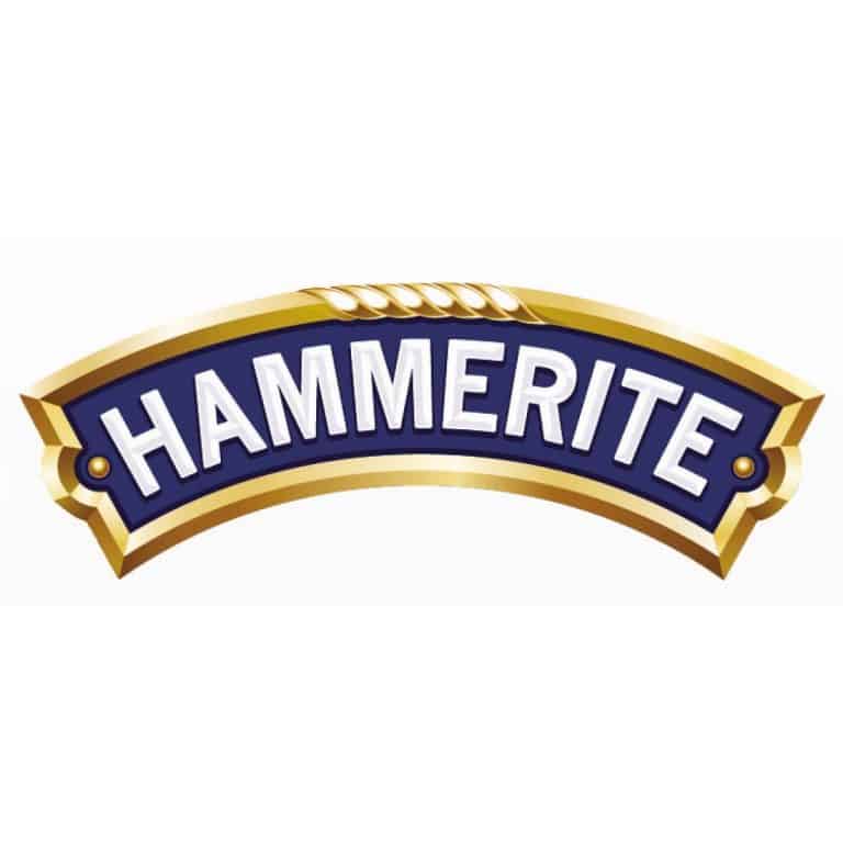 Logo-Hammerite-1200X1200.jpg